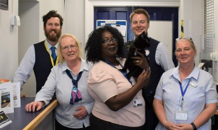 Huddersfield Railway Station cat Bolt has a purr-fect birthday and raises over £500 for five local charities