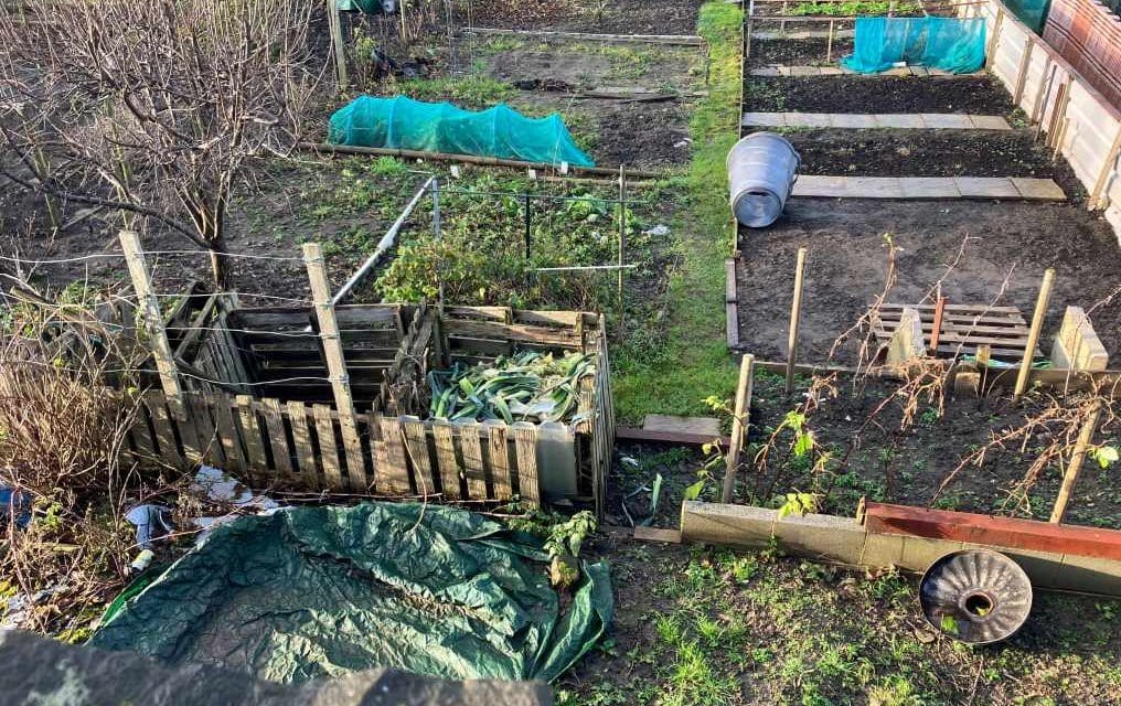 Allotment holders dig in over ‘unreasonable and disproportionate’ rent rises