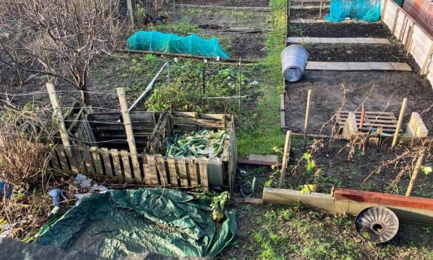 Allotment holders dig in over ‘unreasonable and disproportionate’ rent rises