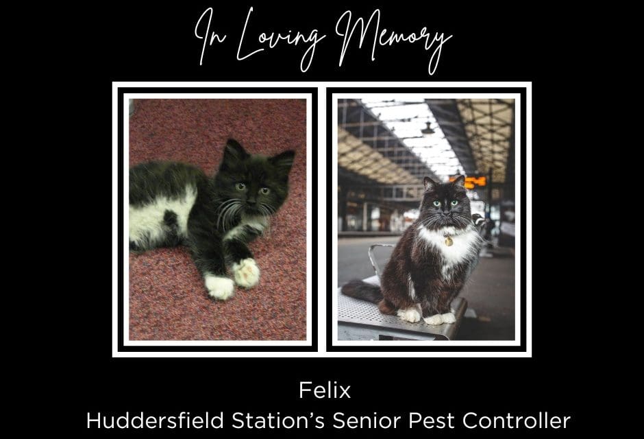 A fitting memorial is planned to Felix the Huddersfield Railway Station cat who has sadly died aged 12