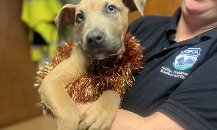 Chance to look behind the scenes at the RSPCA centre covering Huddersfield