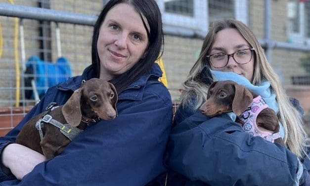 Give an unwanted Huddersfield pet a treat and a little love this Christmas