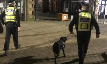 Drugs dog on the streets and knife arch deployed as police continue crime crackdown in Huddersfield town centre