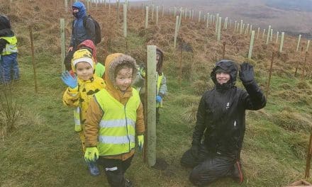 Youngsters help plant new trees in woodland on the edge of Marsden Moor