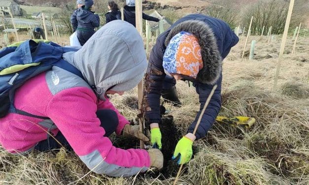 Asylum seekers and refugees living in Huddersfield helped plant trees on Marsden Moor