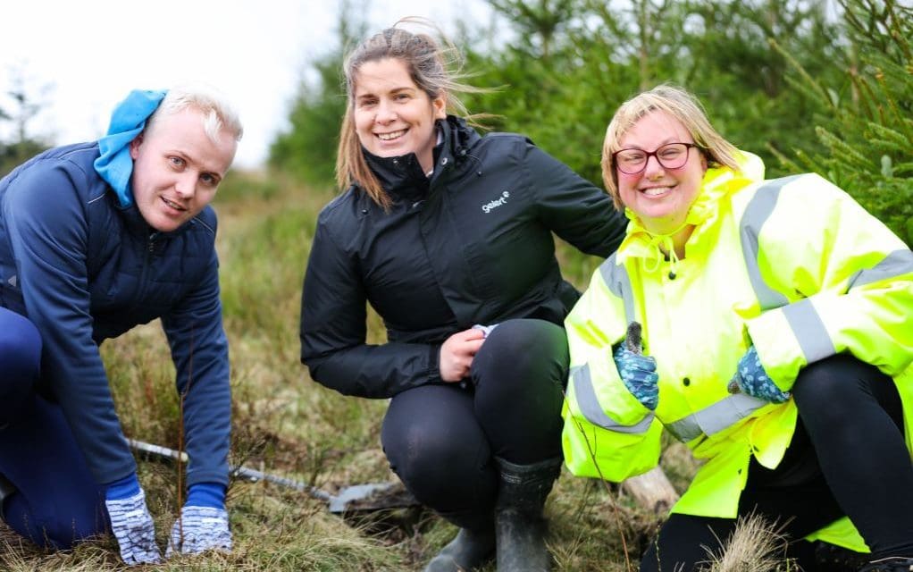 Oyster clients dig in to create 750 metres of hedgerow on annual planting day