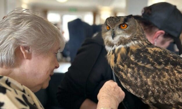 Birds of prey make flying visit to Lindley care home