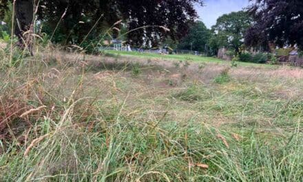 Council parks staff at risk as jobs are cut – but the grass isn’t