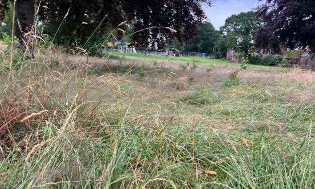 Council parks staff at risk as jobs are cut – but the grass isn’t