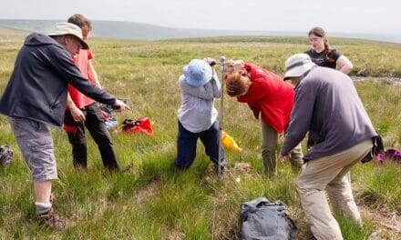 The National Trust is celebrating World Bog Day with events on Marsden Moor