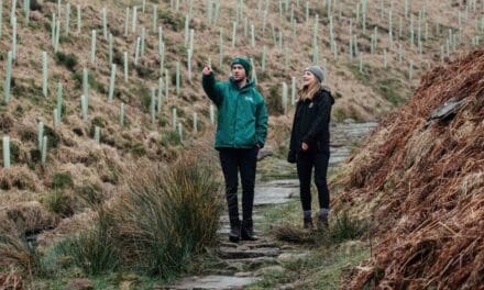 Around 65,000 trees planted at March Haigh near Marsden as part of White Rose Forest