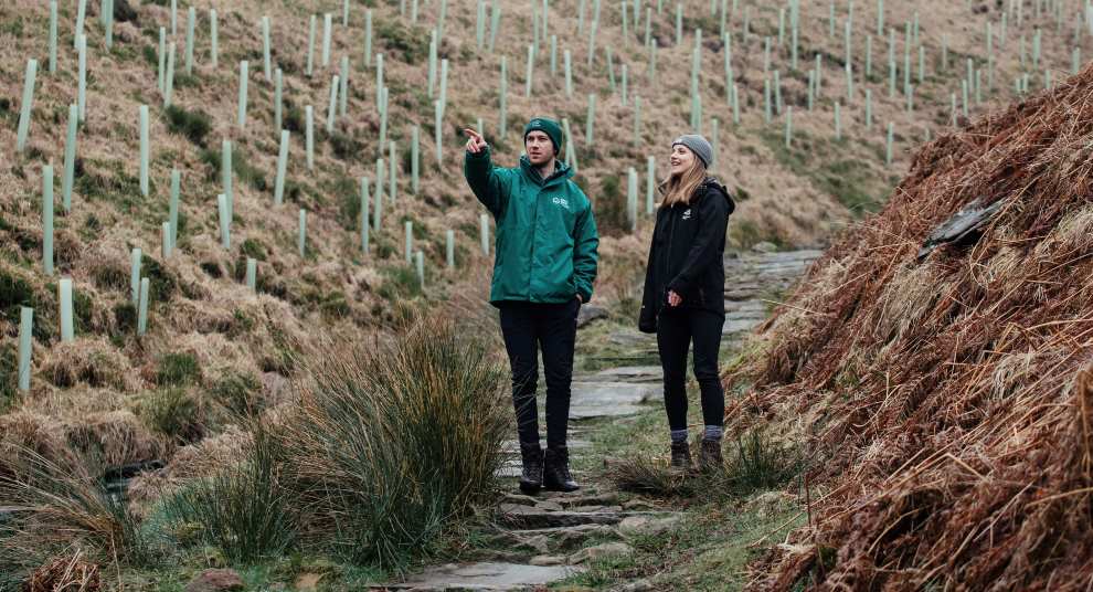 Around 65,000 trees planted at March Haigh near Marsden as part of White Rose Forest