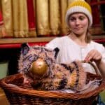 Fenella’s coming home as ‘A Tiger’s Tale’ hits the stage at The Civic in Holmfirth