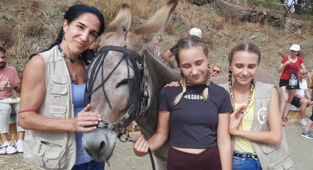 Brian Hayhurst reports from the Costa del Sol on a break in the weather, new entry rules to Spain and the Mijas donkey taxis