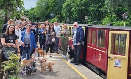 Canine railway special through the countryside to raise money for the RSPCA