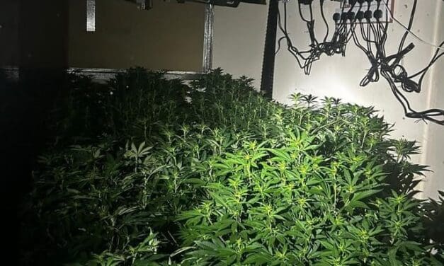 Cannabis factory with plants worth £800k found in Huddersfield town centre building