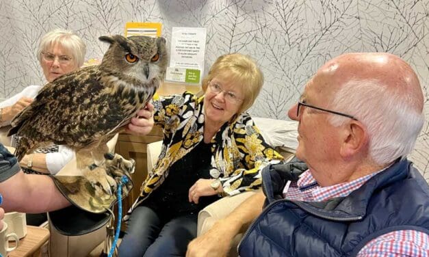 Birds of prey make flying visit to Caremark Kirklees monthly coffee club