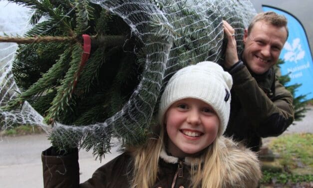 Buy a Christmas tree from Marsden Moor and help raise money for moorland conservation work