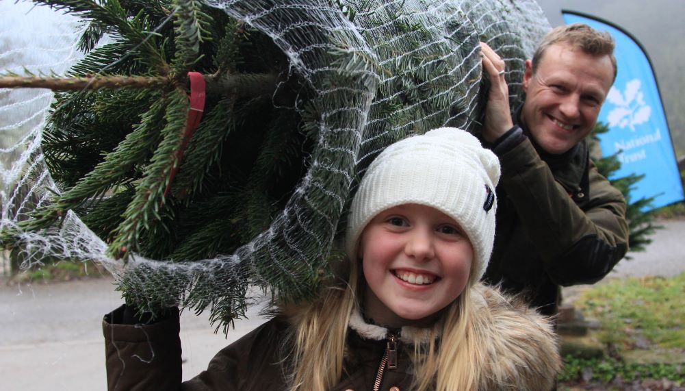 Buy a Christmas tree from Marsden Moor and help raise money for moorland conservation work