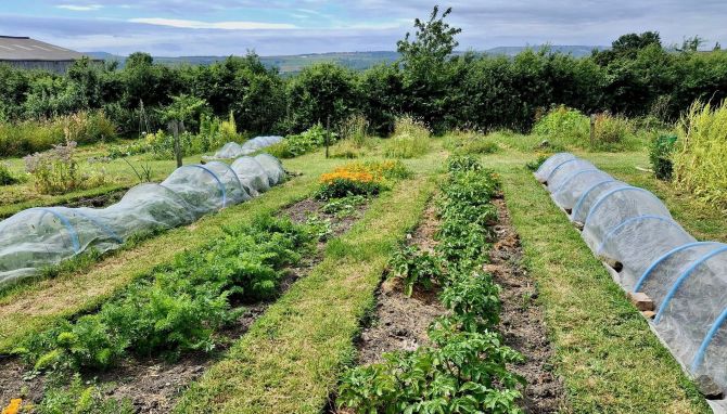 Stirley Food Festival returns with all the sights, sounds, tastes and smells people love